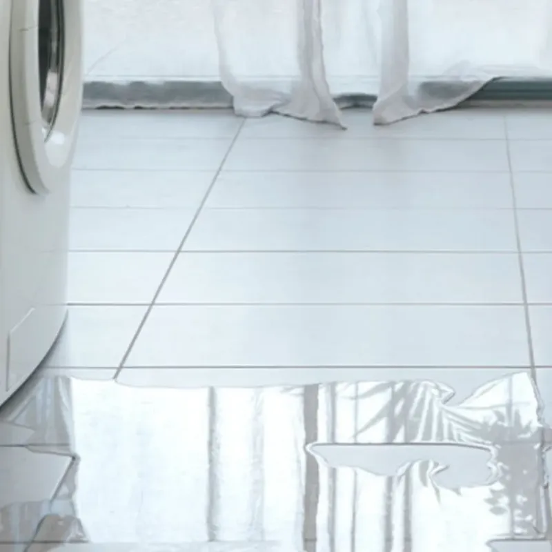 Appliance Leak Cleanup in Frankenmuth, MI