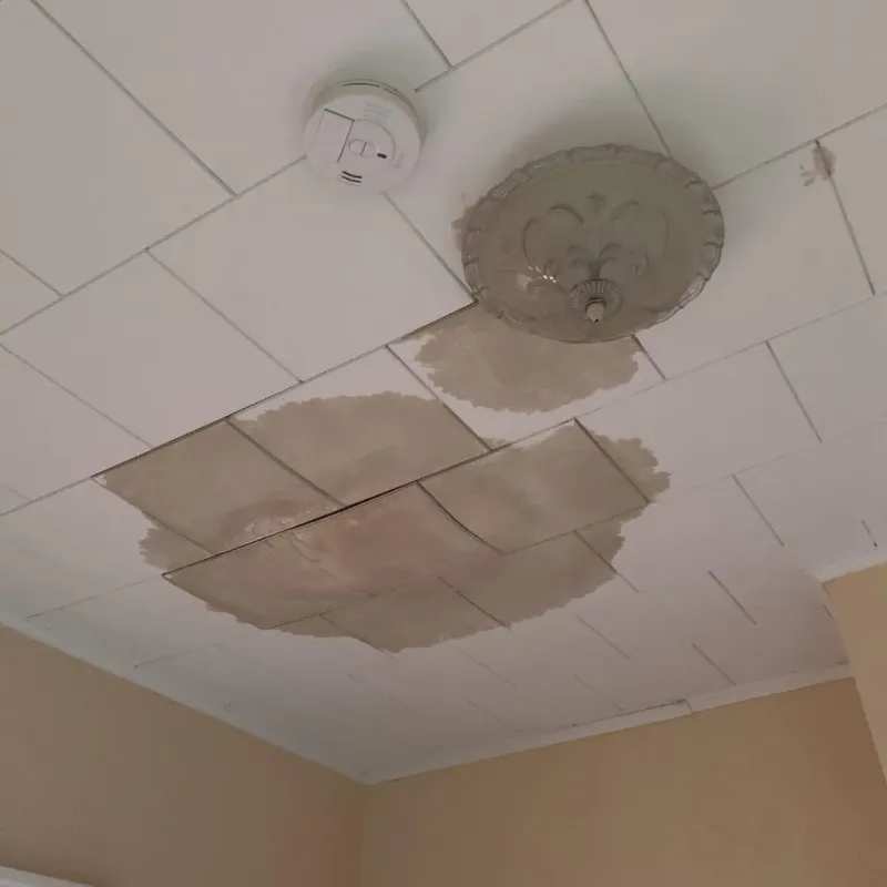 Ceiling Water Damage Repair in Frankenmuth, MI