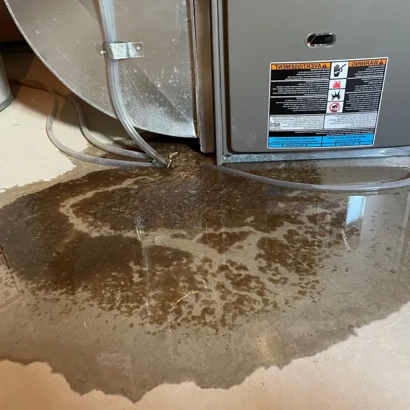 Pipe Burst and Leak Restoration in Frankenmuth, MI