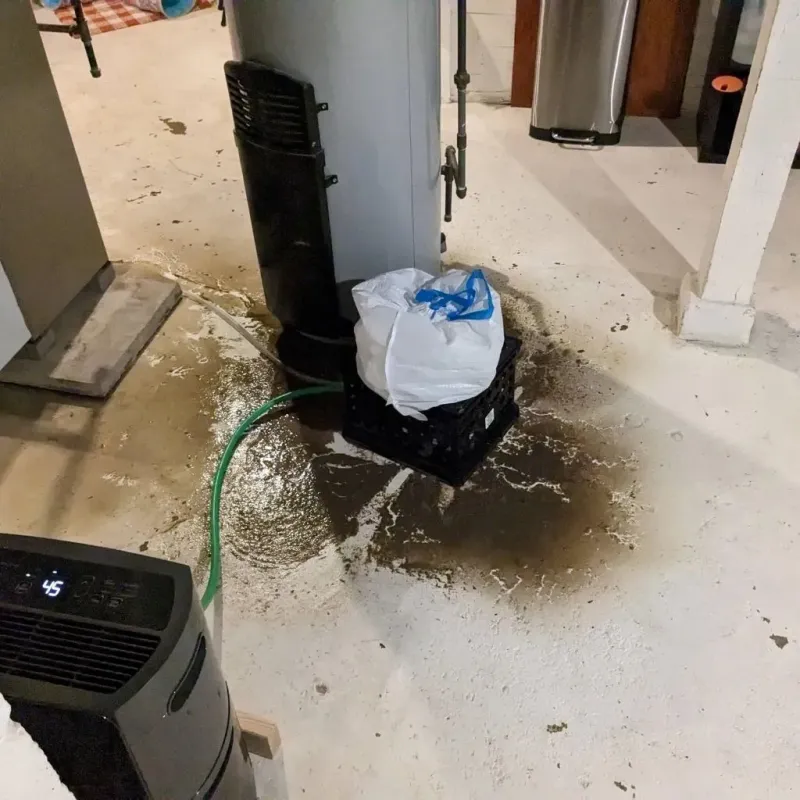 Sewage Backup Cleanup Service in Frankenmuth, MI
